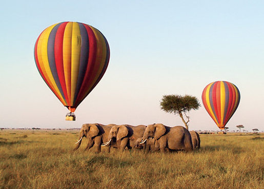  2 DAYS/1 NIGHT SAFARI IN MIKUMI PARK FROM ZANZIBAR DEPARTURE FROM ZANZIBAR