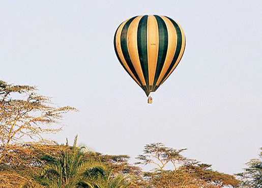  2 DAYS/1 NIGHT SAFARI IN MIKUMI PARK FROM ZANZIBAR DEPARTURE FROM ZANZIBAR