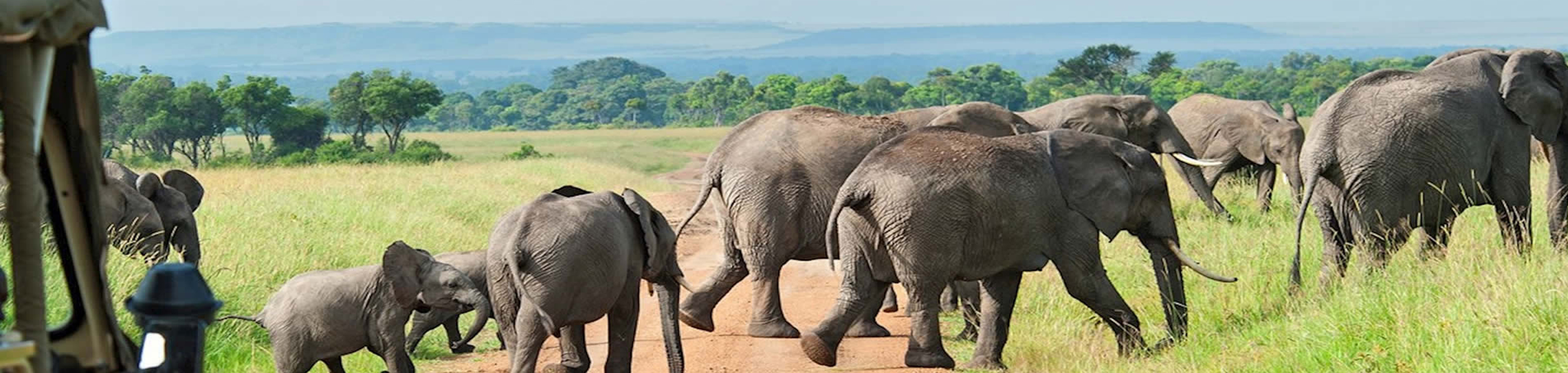 Ussey Tours & Travel