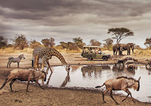 TARANGIRE NATIONAL PARK