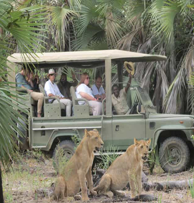 ONE DAY SAFARI TO SELOUS PARK