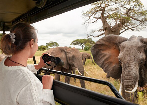  2 DAYS/1 NIGHT SAFARI IN MIKUMI PARK FROM ZANZIBAR DEPARTURE FROM ZANZIBAR