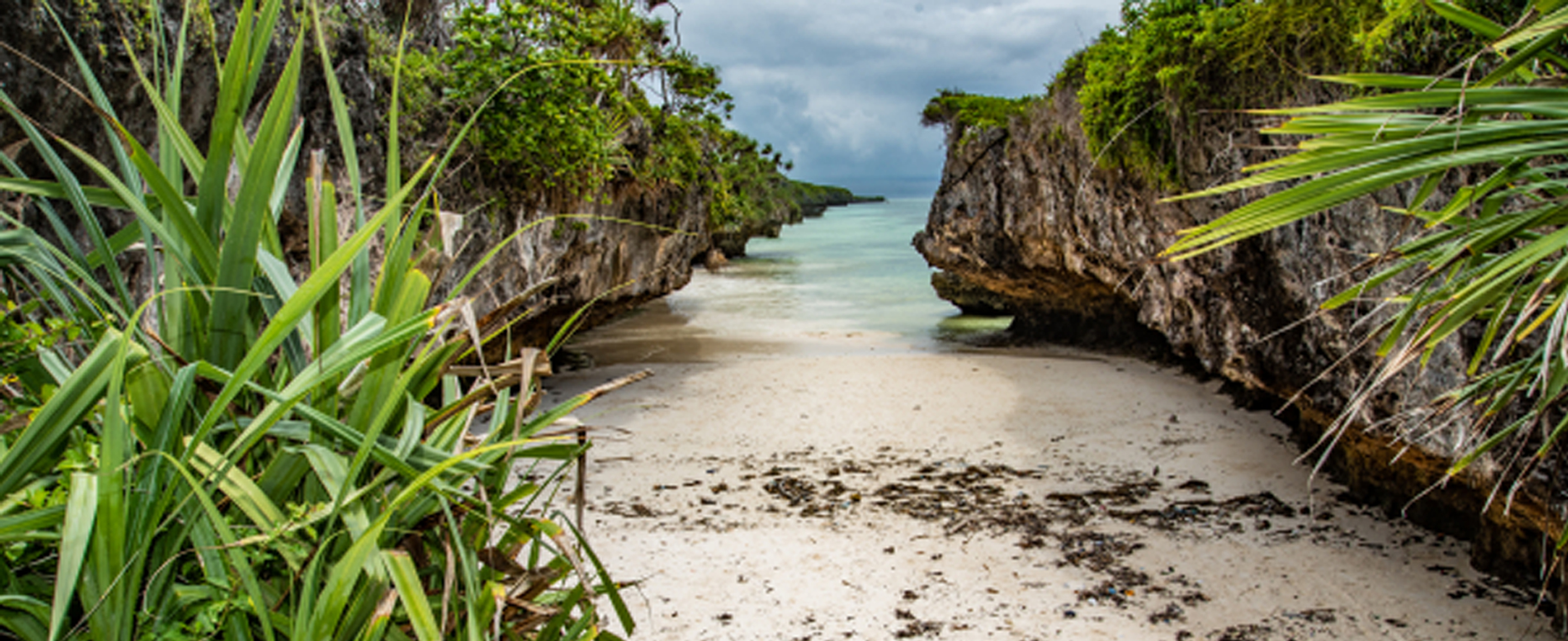 Ussey Tours & Travel