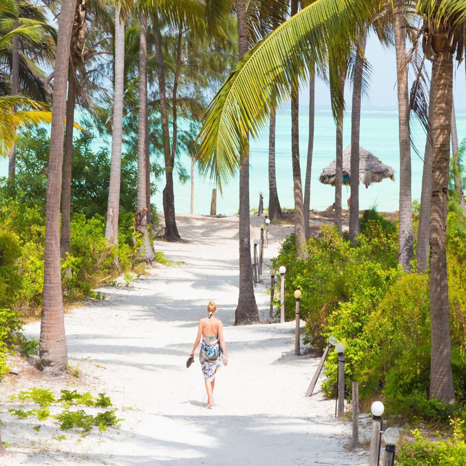 Ussey Tours &Travel