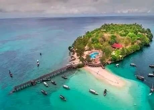 PRISON_ISLAND_TORTOISES.php