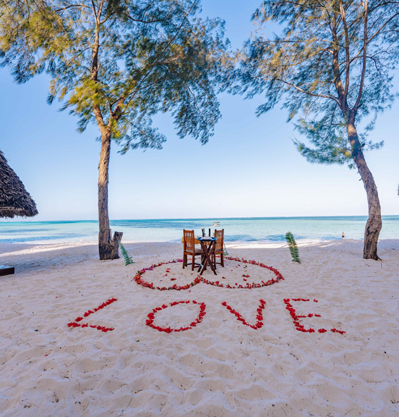 Ultimate Honeymoon Experience